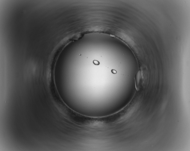 X0000089390348200706151226