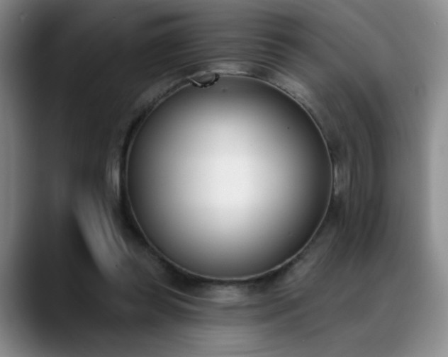 X0000089390349200706151226
