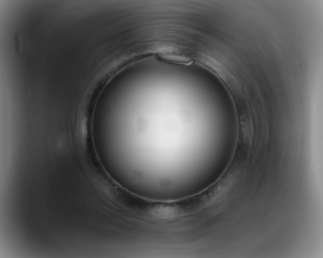 X0000089390350200706151226