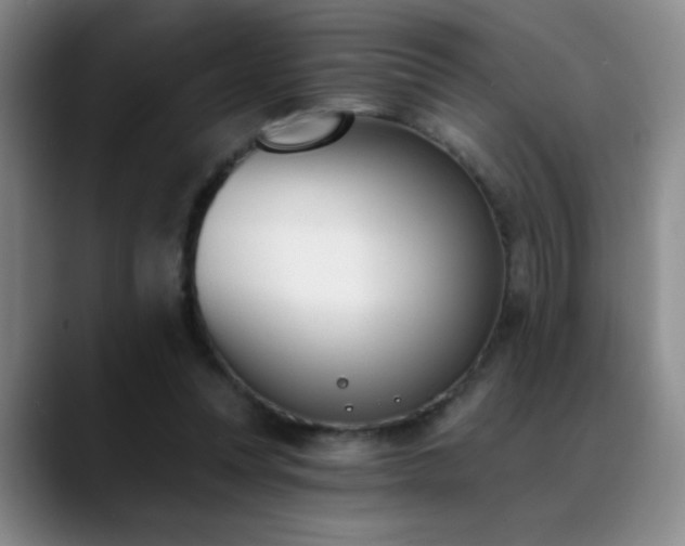 X0000089390351200706151226