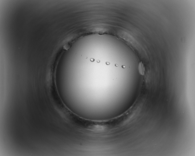 X0000089390352200706151226