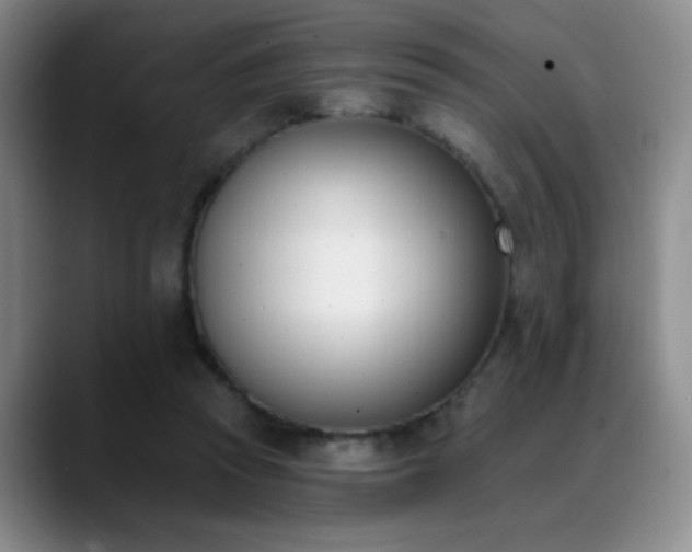 X0000089390353200706151226