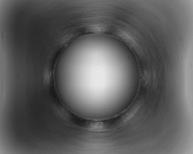X0000089390355200706151226