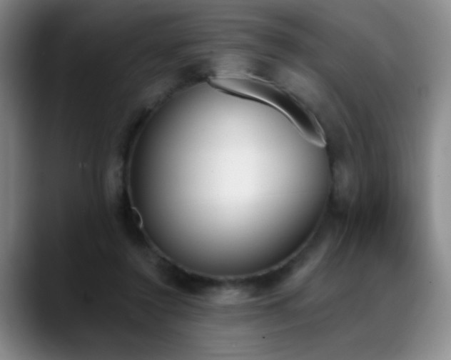 X0000089390356200706151226
