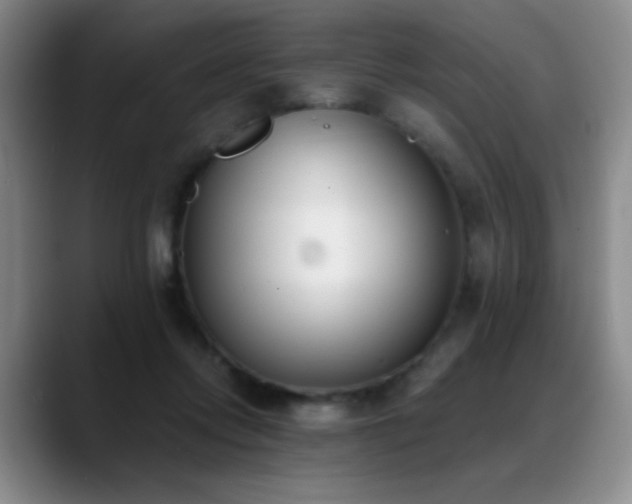 X0000089390358200706151226