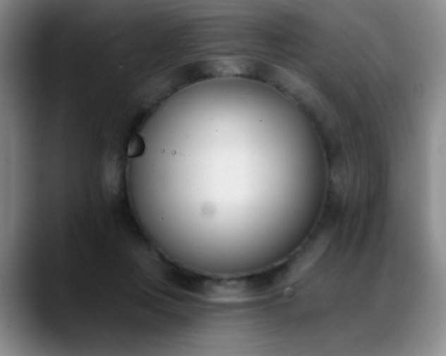 X0000089390359200706151226
