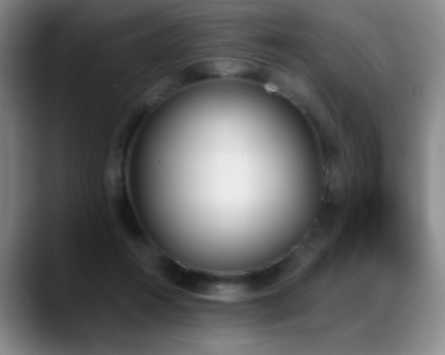 X0000089390360200706151226