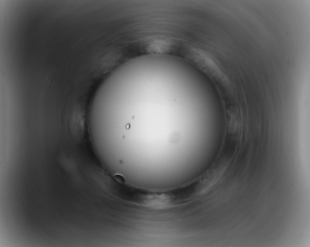 X0000089390363200706151226