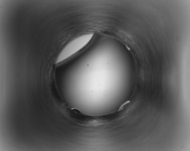 X0000089390364200706151226