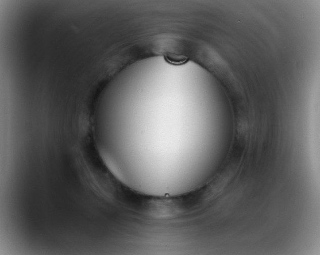 X0000089390367200706151226
