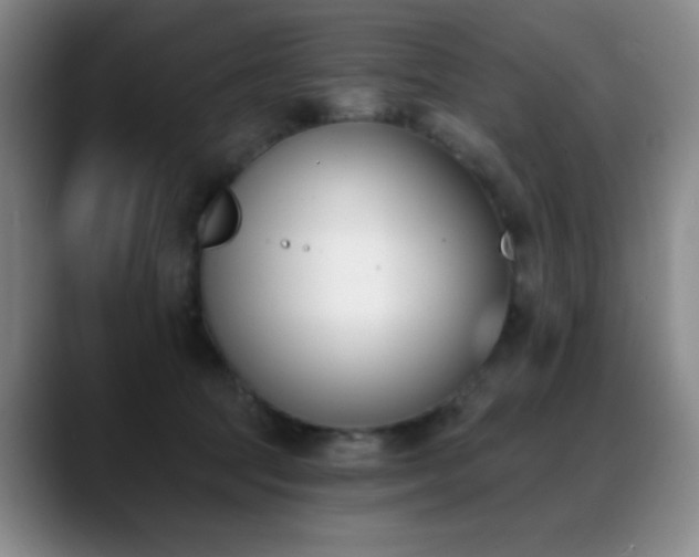 X0000089390369200706151226