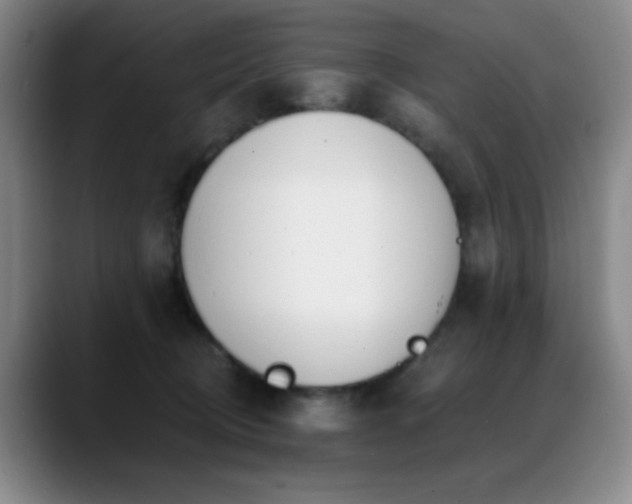 X0000089390370200706151226