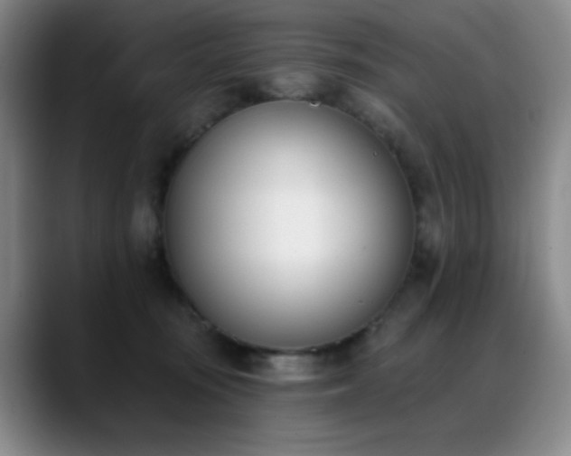 X0000089390371200706151226