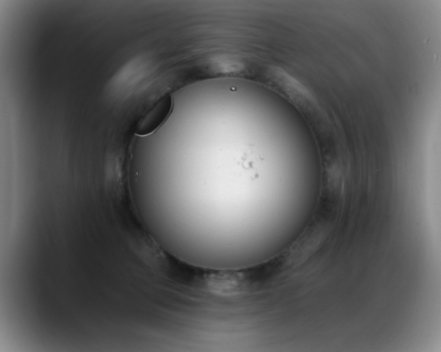 X0000089390373200706151226