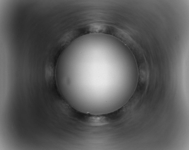 X0000089390375200706151226