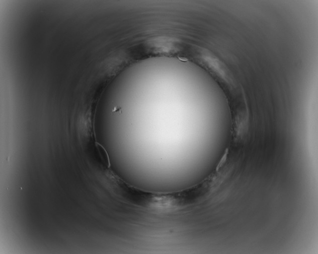 X0000089390376200706151226