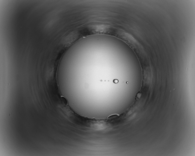 X0000089390377200706151226