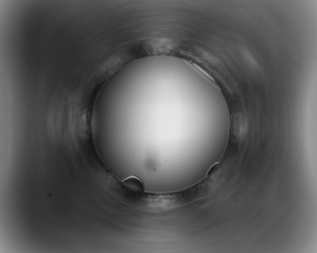 X0000089390378200706151226