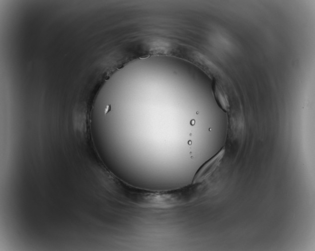 X0000089390379200706151226