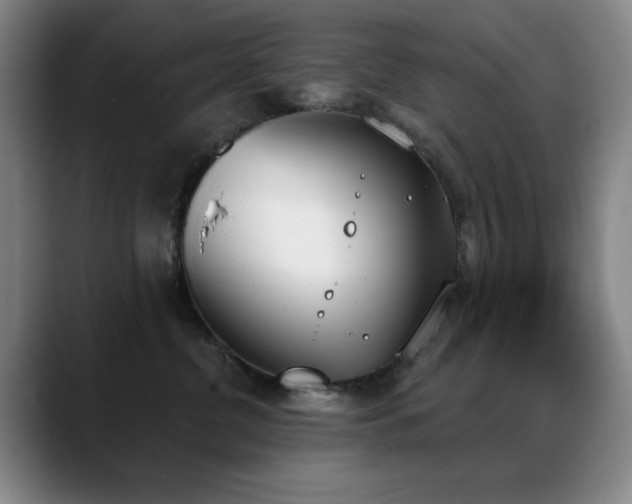 X0000089390380200706151226