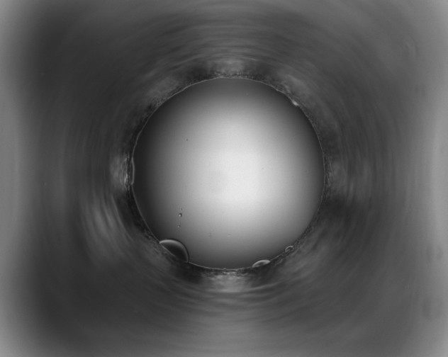 X0000089390383200706151226