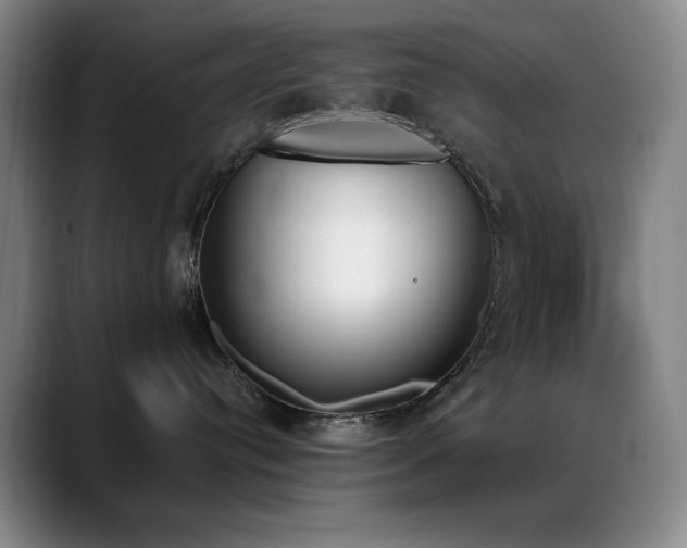 X0000089390384200706151226
