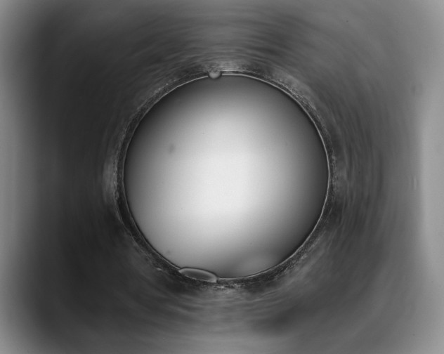 X0000089390386200706151226