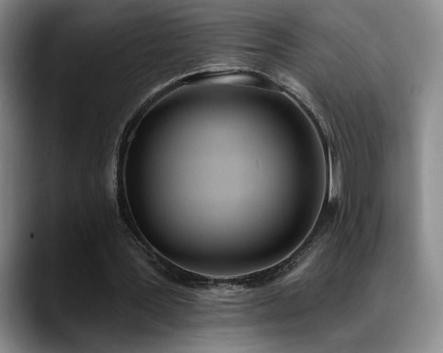 X0000089390387200706151226