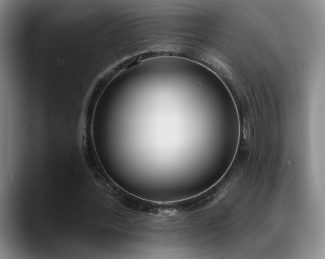 X0000089390388200706151226