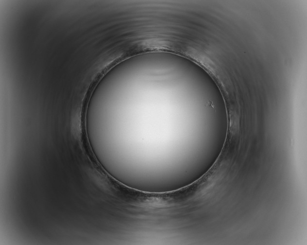 X0000089390390200706151226