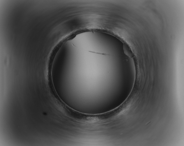 X0000089390391200706151226