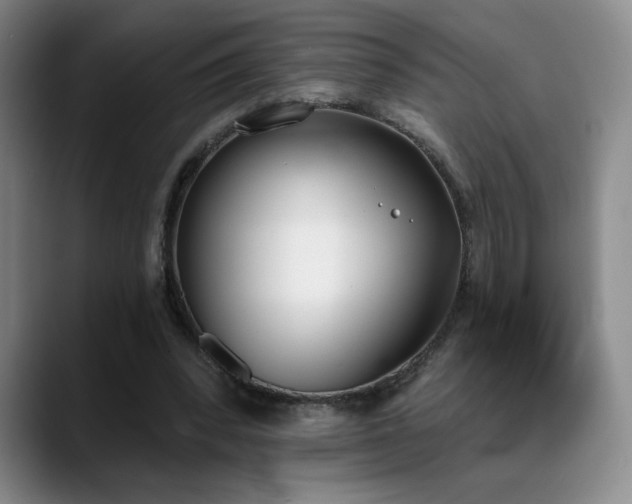 X0000089390392200706151226
