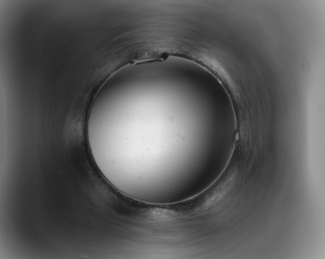 X0000089390393200706151226