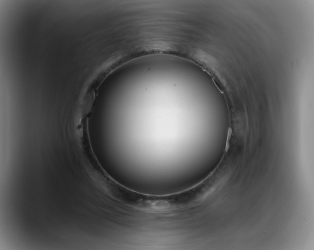 X0000089390395200706151226