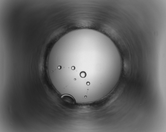 X0000089390396200706151226