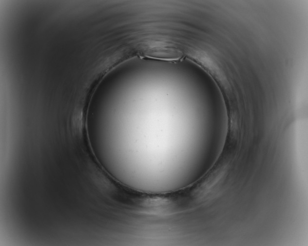 X0000089390397200706151226