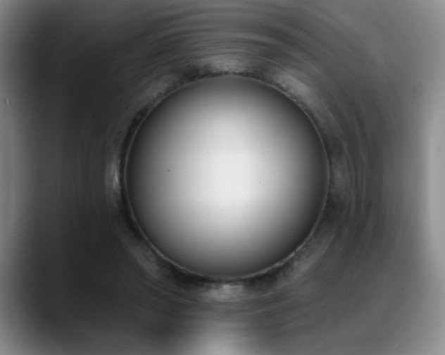 X0000089390398200706151226