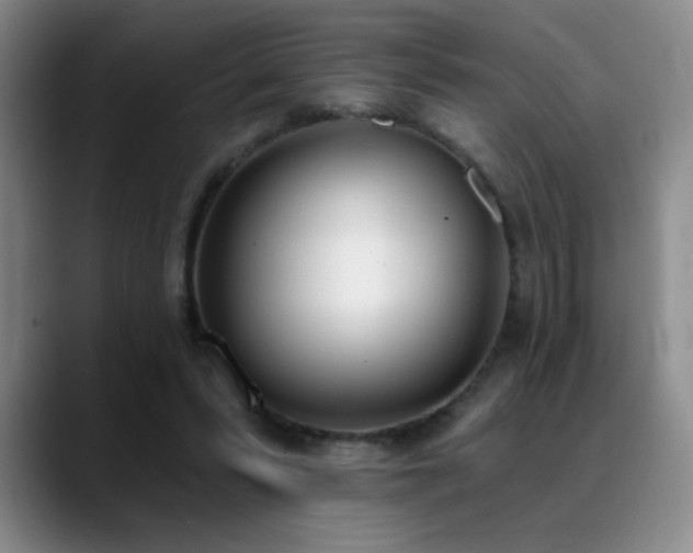 X0000089390399200706151226