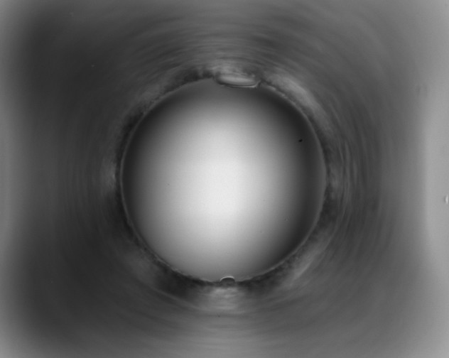 X0000089390401200706151226