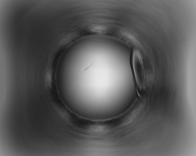 X0000089390404200706151226