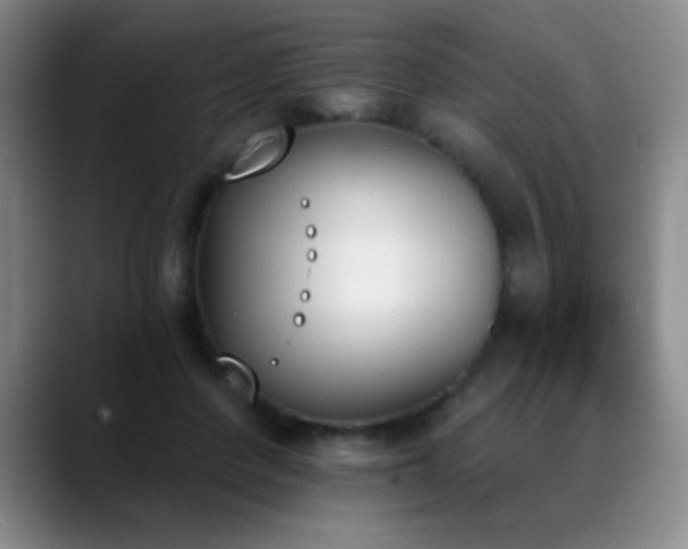 X0000089390408200706151226