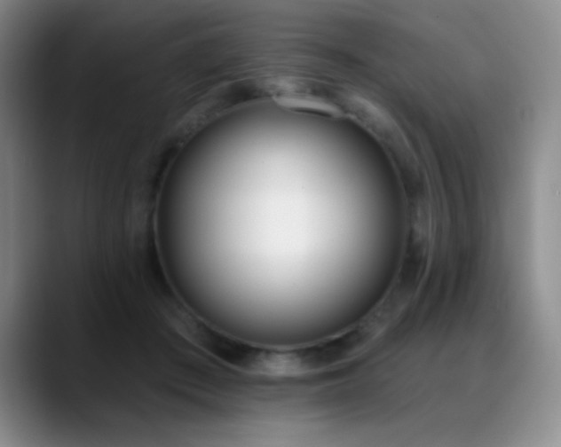 X0000089390409200706151226