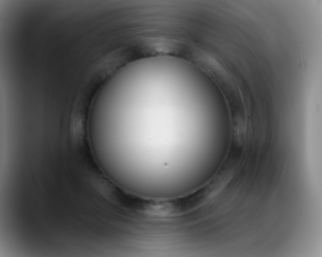 X0000089390410200706151226