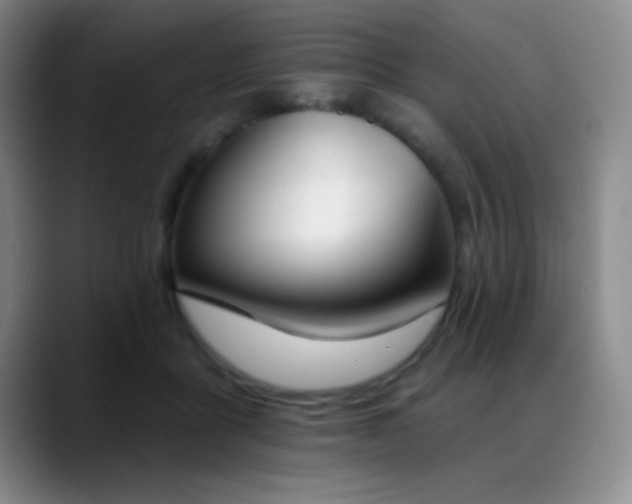 X0000089390411200706151226