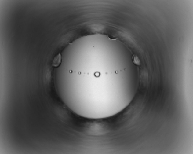X0000089390412200706151226