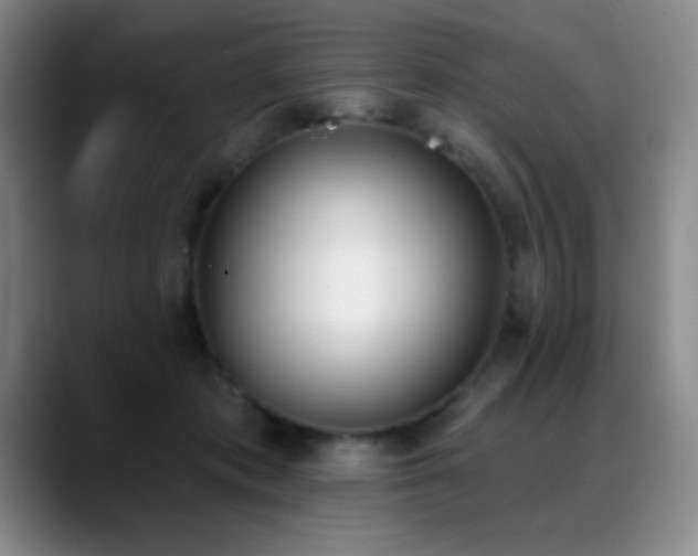 X0000089390413200706151226