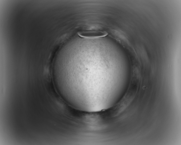 X0000089390415200706151226