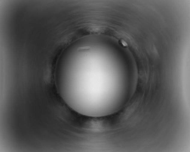 X0000089390416200706151226