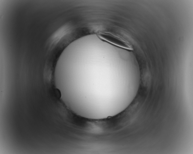 X0000089390417200706151226