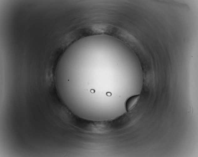 X0000089390418200706151226